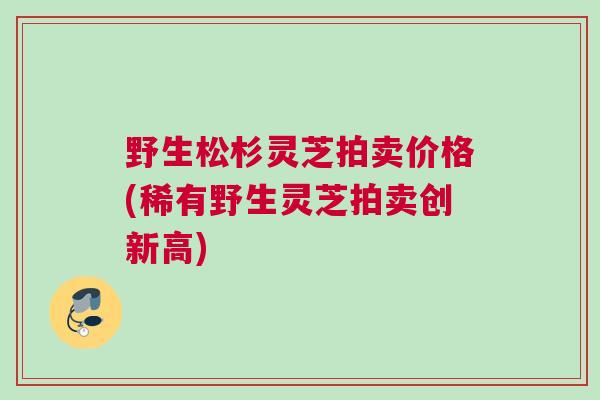 野生松杉灵芝拍卖价格(稀有野生灵芝拍卖创新高) 野生松杉灵芝拍卖价格(稀有野生灵芝拍卖创新高)