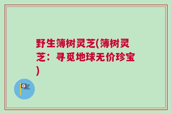 野生簿树灵芝(簿树灵芝:寻觅地球无价珍宝) 野生簿树灵芝(簿树灵芝:寻觅地球无价珍宝)