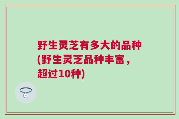 野生灵芝有多大的品种(野生灵芝品种丰富,超过10种) 野生灵芝有多大的品种(野生灵芝品种丰富,超过10种)