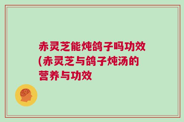 赤灵芝能炖鸽子吗功效(赤灵芝与鸽子炖汤的营养与功效 赤灵芝能炖鸽子吗功效(赤灵芝与鸽子炖汤的营养与功效