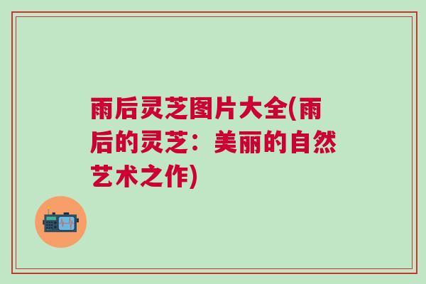 雨后灵芝图片大全(雨后的灵芝：美丽的自然艺术之作)