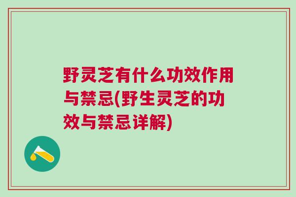 野灵芝有什么功效作用与禁忌(野生灵芝的功效与禁忌详解) 野灵芝有什么功效作用与禁忌(野生灵芝的功效与禁忌详解)