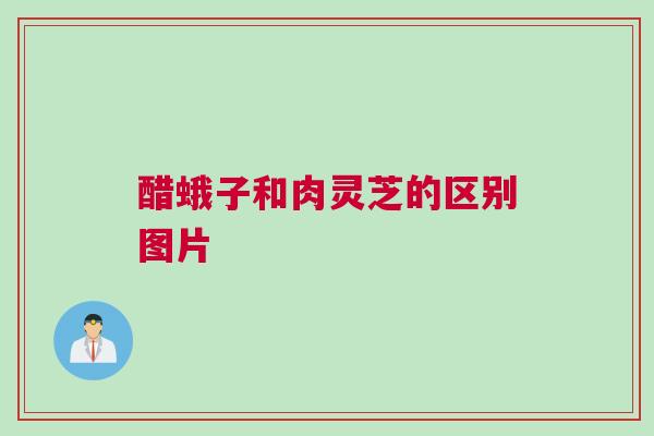 醋蛾子和肉灵芝的区别图片
