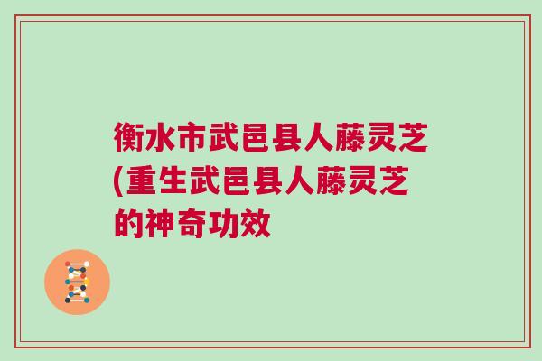 衡水市武邑县人藤灵芝(重生武邑县人藤灵芝的神奇功效