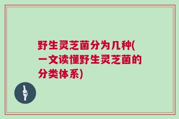 野生灵芝菌分为几种(一文读懂野生灵芝菌的分类体系)