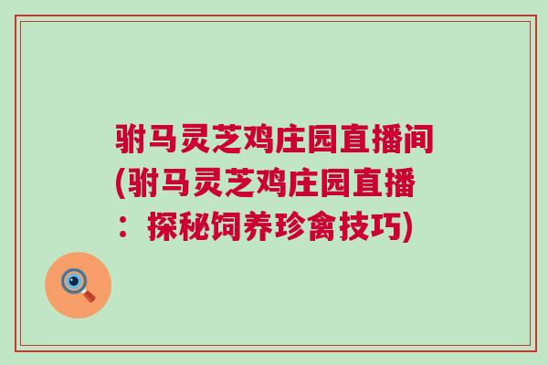 驸马灵芝鸡庄园直播间(驸马灵芝鸡庄园直播:探秘饲养珍禽技巧) 驸马灵芝鸡庄园直播间(驸马灵芝鸡庄园直播:探秘饲养珍禽技巧)