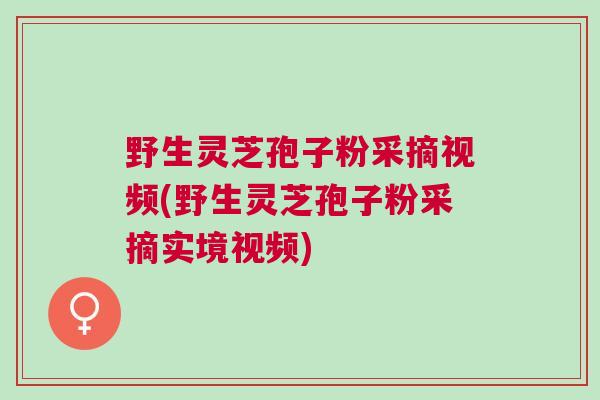 野生灵芝孢子粉采摘视频(野生灵芝孢子粉采摘实境视频)