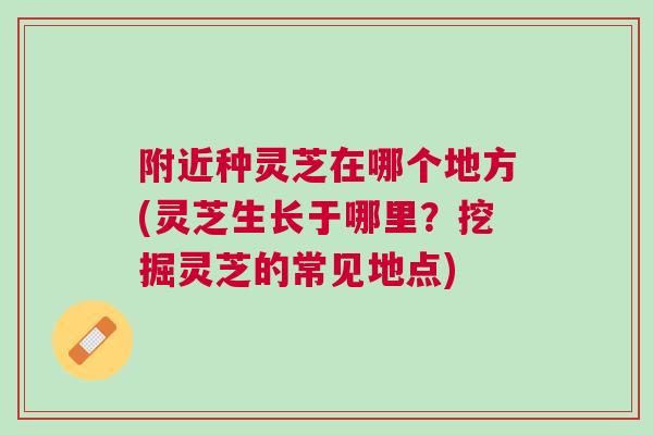 附近种灵芝在哪个地方(灵芝生长于哪里？挖掘灵芝的常见地点)