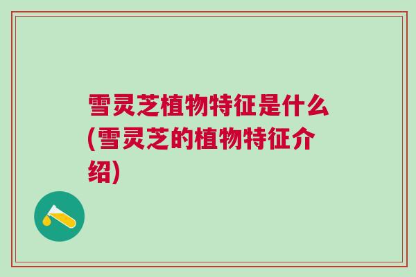 雪灵芝植物特征是什么(雪灵芝的植物特征介绍) 雪灵芝植物特征是什么(雪灵芝的植物特征介绍)