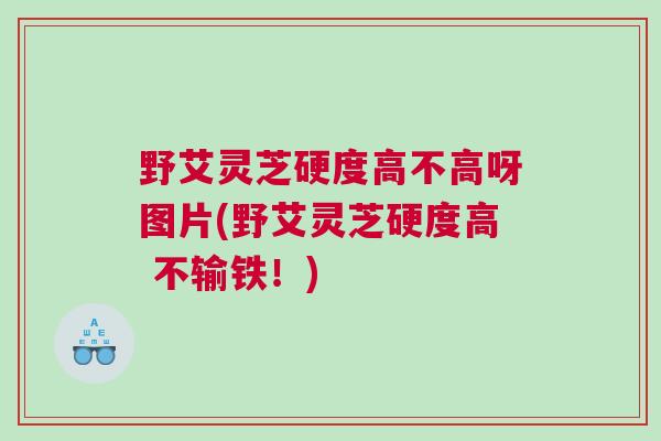 野艾灵芝硬度高不高呀图片(野艾灵芝硬度高 不输铁！)