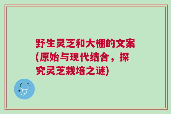 野生灵芝和大棚的文案(原始与现代结合,探究灵芝栽培之谜) 野生灵芝和大棚的文案(原始与现代结合,探究灵芝栽培之谜)
