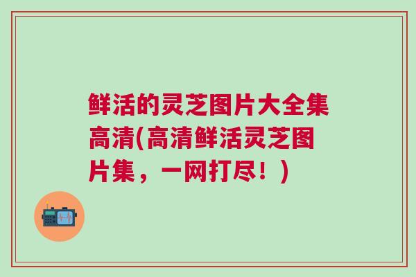 鲜活的灵芝图片大全集高清(高清鲜活灵芝图片集，一网打尽！)