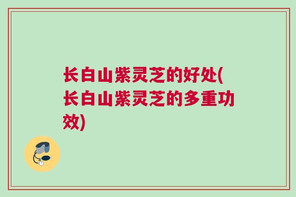 长白山紫灵芝的好处(长白山紫灵芝的多重功效) 长白山紫灵芝的好处(长白山紫灵芝的多重功效)