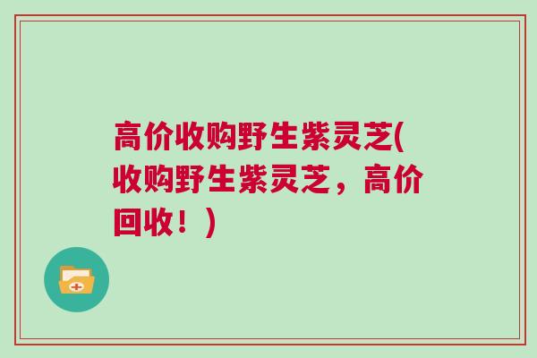 高价收购野生紫灵芝(收购野生紫灵芝，高价回收！)