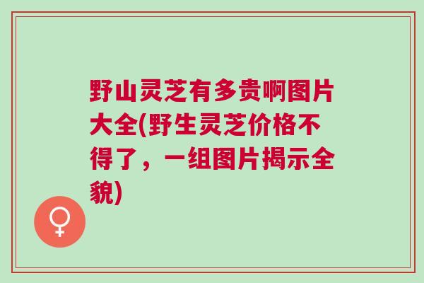 野山灵芝有多贵啊图片大全(野生灵芝价格不得了，一组图片揭示全貌)