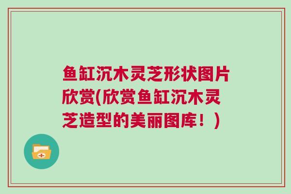 鱼缸沉木灵芝形状图片欣赏(欣赏鱼缸沉木灵芝造型的美丽图库!) 鱼缸沉木灵芝形状图片欣赏(欣赏鱼缸沉木灵芝造型的美丽图库!)