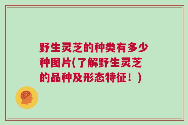 野生灵芝的种类有多少种图片(了解野生灵芝的品种及形态特征！)
