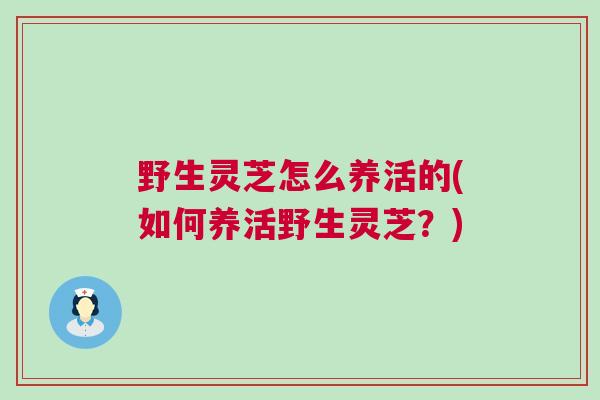 野生灵芝怎么养活的(如何养活野生灵芝？)