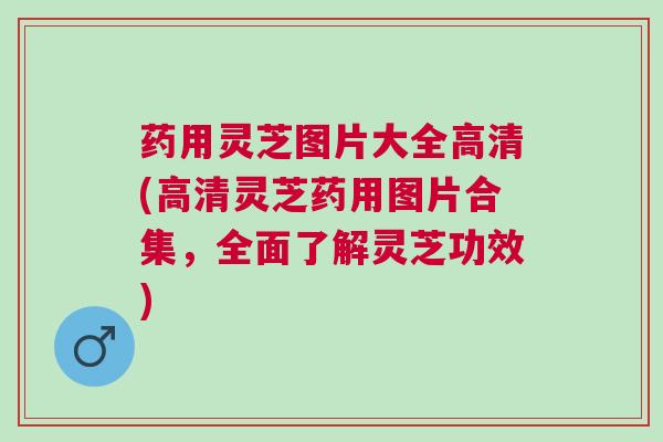 药用灵芝图片大全高清(高清灵芝药用图片合集，全面了解灵芝功效)