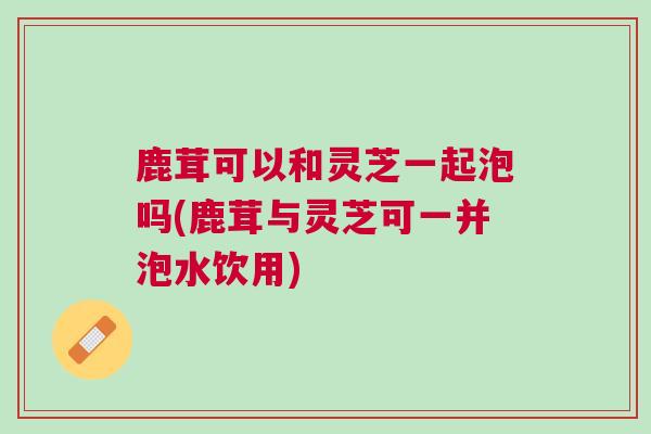 鹿茸可以和灵芝一起泡吗(鹿茸与灵芝可一并泡水饮用)
