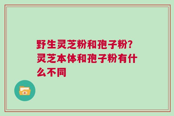 野生灵芝粉和孢子粉？灵芝本体和孢子粉有什么不同