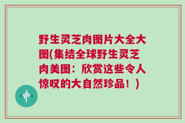 野生灵芝肉图片大全大图(集结全球野生灵芝肉美图：欣赏这些令人惊叹的大自然珍品！)