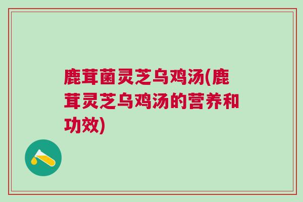 鹿茸菌灵芝乌鸡汤(鹿茸灵芝乌鸡汤的营养和功效)