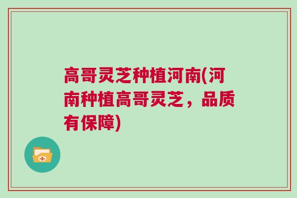 高哥灵芝种植河南(河南种植高哥灵芝，品质有保障)