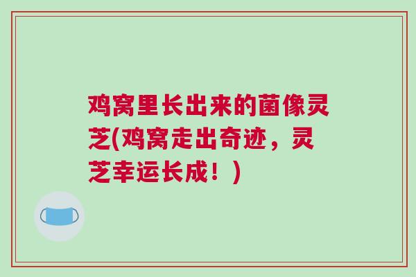 鸡窝里长出来的菌像灵芝(鸡窝走出奇迹，灵芝幸运长成！)