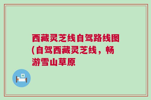 西藏灵芝线自驾路线图(自驾西藏灵芝线，畅游雪山草原
