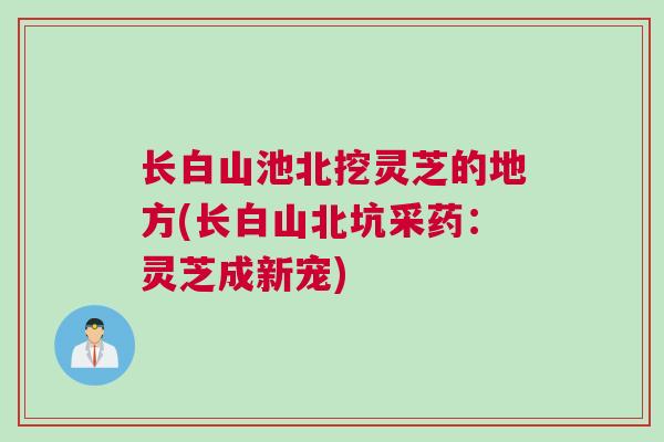 长白山池北挖灵芝的地方(长白山北坑采药:灵芝成新宠) 长白山池北挖灵芝的地方(长白山北坑采药:灵芝成新宠)