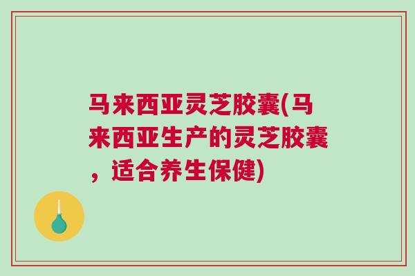 马来西亚灵芝胶囊(马来西亚生产的灵芝胶囊，适合养生保健)