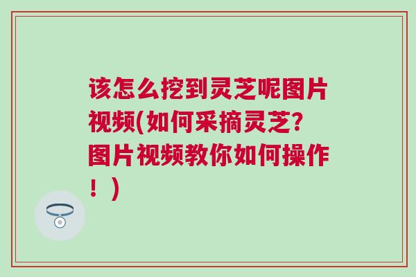 该怎么挖到灵芝呢图片视频(如何采摘灵芝?图片视频教你如何操作!) 该怎么挖到灵芝呢图片视频(如何采摘灵芝?图片视频教你如何操作!)