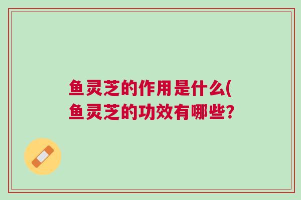 鱼灵芝的作用是什么(鱼灵芝的功效有哪些? 鱼灵芝的作用是什么(鱼灵芝的功效有哪些?