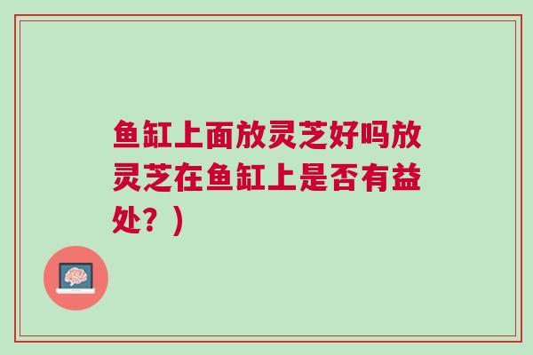 鱼缸上面放灵芝好吗放灵芝在鱼缸上是否有益处？)