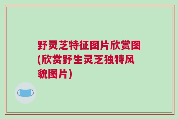 野灵芝特征图片欣赏图(欣赏野生灵芝独特风貌图片)