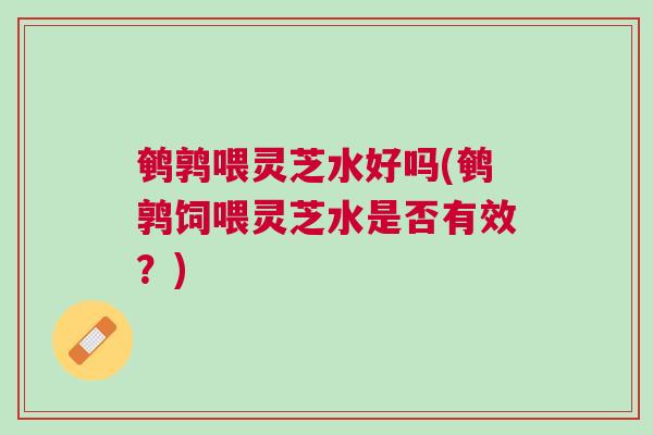 鹌鹑喂灵芝水好吗(鹌鹑饲喂灵芝水是否有效？)