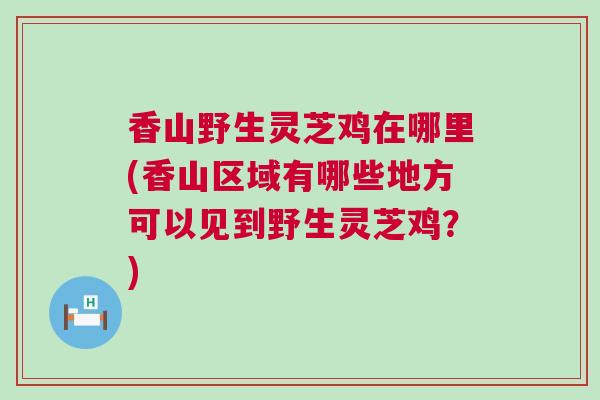 香山野生灵芝鸡在哪里(香山区域有哪些地方可以见到野生灵芝鸡？)
