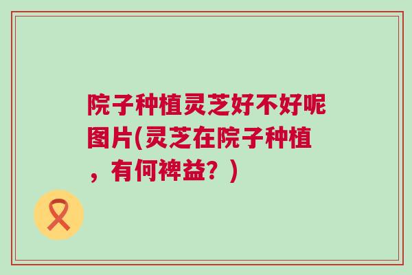 院子种植灵芝好不好呢图片(灵芝在院子种植，有何裨益？)