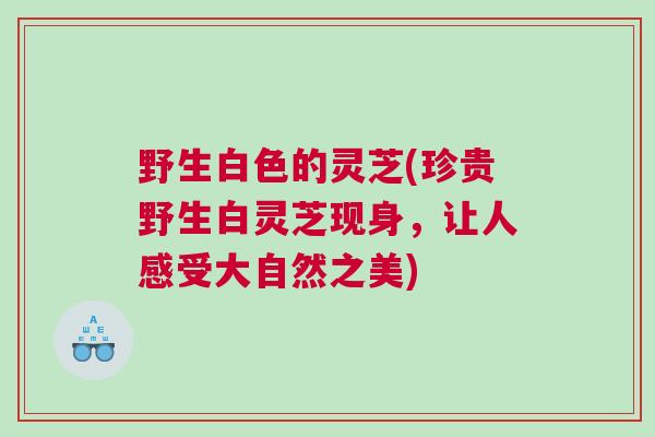 野生白色的灵芝(珍贵野生白灵芝现身，让人感受大自然之美)