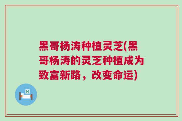黑哥杨涛种植灵芝(黑哥杨涛的灵芝种植成为致富新路，改变命运)