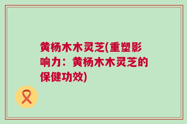 黄杨木木灵芝(重塑影响力:黄杨木木灵芝的保健功效) 黄杨木木灵芝(重塑影响力:黄杨木木灵芝的保健功效)