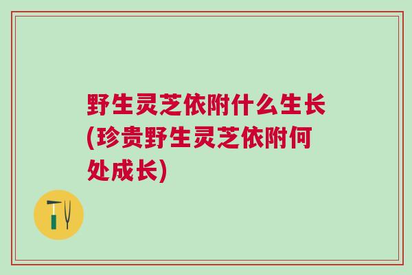 野生灵芝依附什么生长(珍贵野生灵芝依附何处成长) 野生灵芝依附什么生长(珍贵野生灵芝依附何处成长)