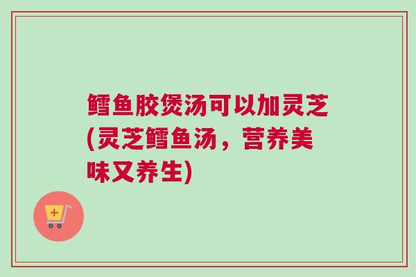 鳕鱼胶煲汤可以加灵芝(灵芝鳕鱼汤,营养美味又养生) 鳕鱼胶煲汤可以加灵芝(灵芝鳕鱼汤,营养美味又养生)