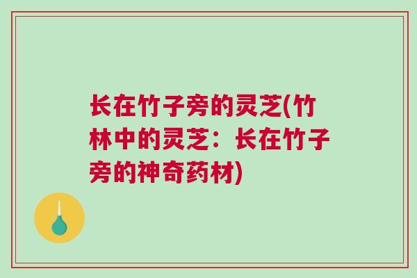 长在竹子旁的灵芝(竹林中的灵芝：长在竹子旁的神奇药材)