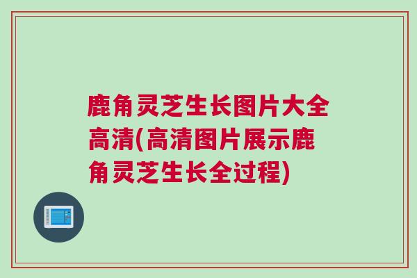 鹿角灵芝生长图片大全高清(高清图片展示鹿角灵芝生长全过程)