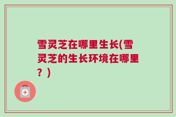雪灵芝在哪里生长(雪灵芝的生长环境在哪里？)