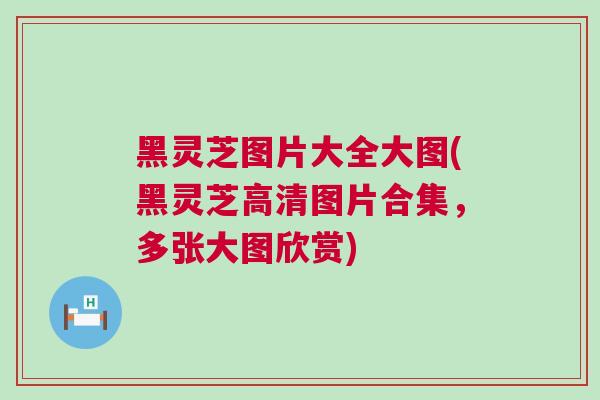 黑灵芝图片大全大图(黑灵芝高清图片合集，多张大图欣赏)