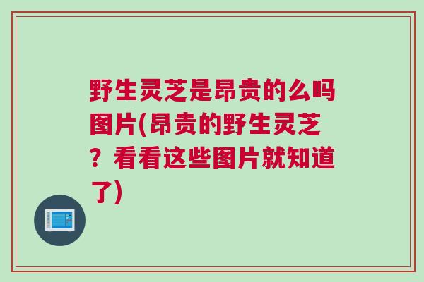 野生灵芝是昂贵的么吗图片(昂贵的野生灵芝？看看这些图片就知道了)
