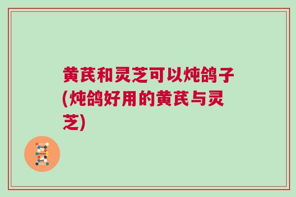 黄芪和灵芝可以炖鸽子(炖鸽好用的黄芪与灵芝)